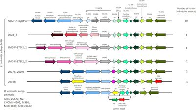 The Tetracycline Resistance Gene, <mark class="highlighted">tet(W)</mark> in Bifidobacterium animalis subsp. lactis Follows Phylogeny and Differs From <mark class="highlighted">tet(W)</mark> in Other Species